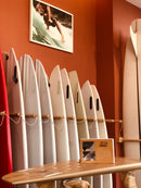 Surfboard Rental - 1 Day